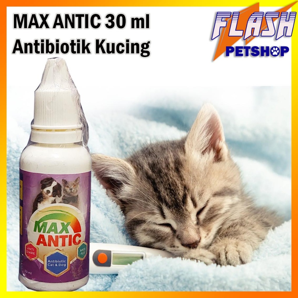 Obat Antibiotik kucing untuk diare dan flu saluran pernapasan kucing antibiotic Max Antic 30 ml