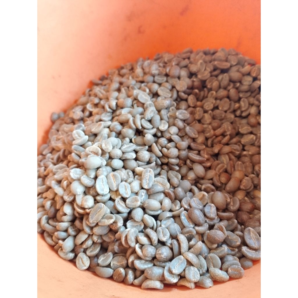 

Biji Kopi Arabika/Greenbean Arabika