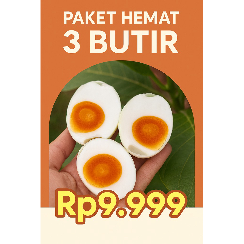

PAKET HEMAT 3 BUTIR – TELUR ASIN ZILLEGG