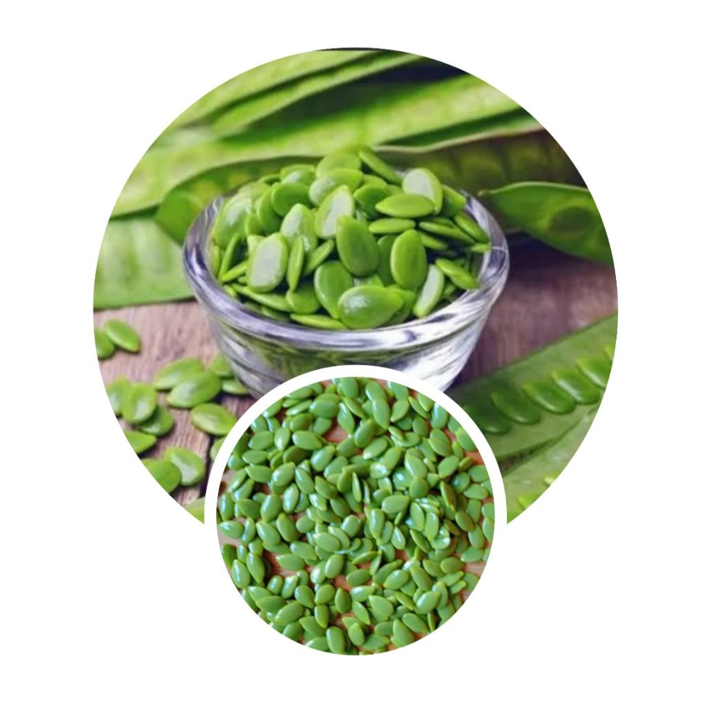 

petai cina lamtoro segar utuh