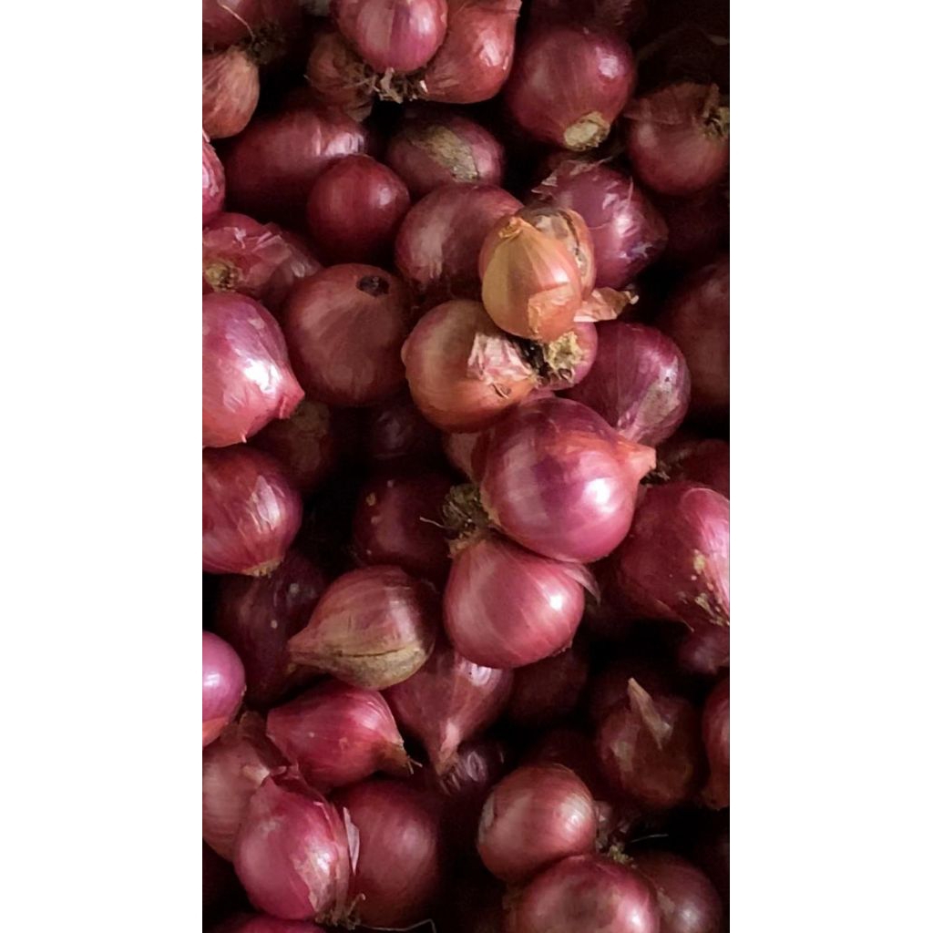 

Bawang Merah