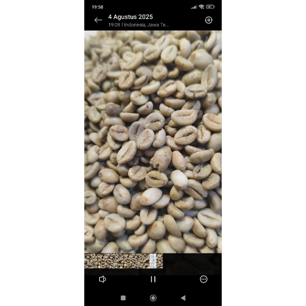 Green Bean Kopi Robusta Temanggung