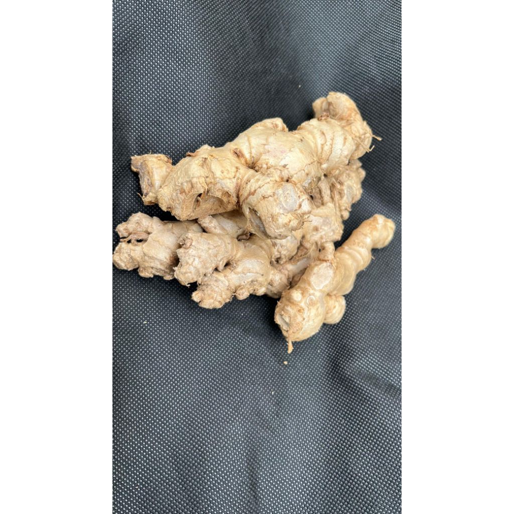 

Jahe Emprit/Bersih tanpa tanah per 1kg