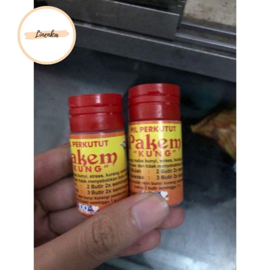 PIL PERKUTUT PAKEM SEHAT GACOR JAMU PERKUTUT