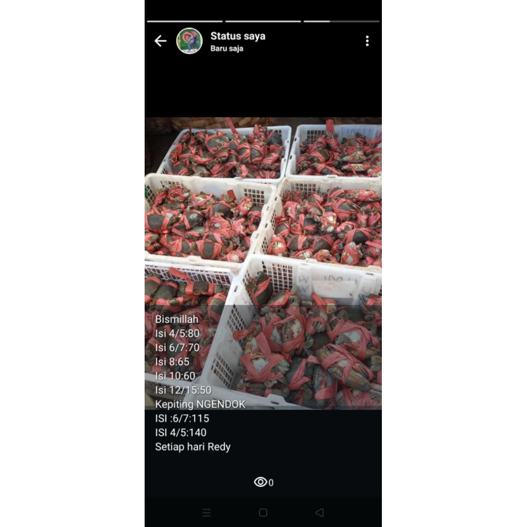 

kepitingbertelutdangemukbesar