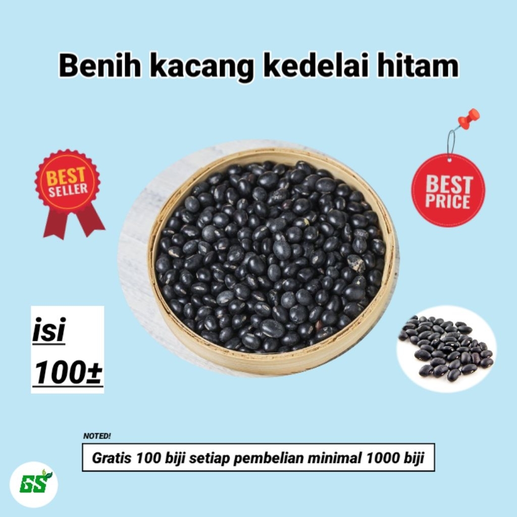 

benih kacang kedelai hitam (100±)
