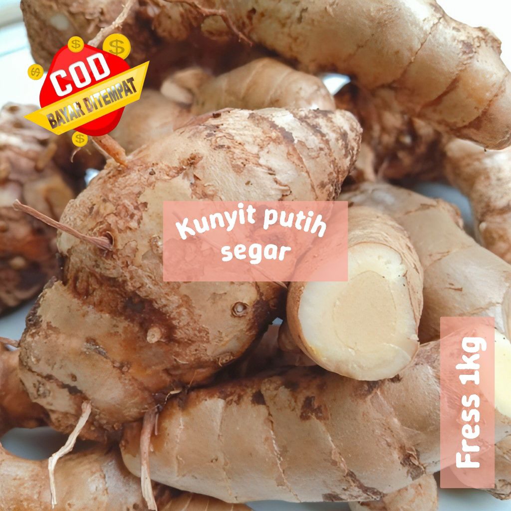 

Kunyit putih asli segar 1kg