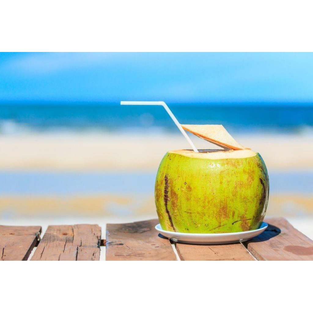 KELAPA MUDA/DEGAN SEGAR BANDUNG