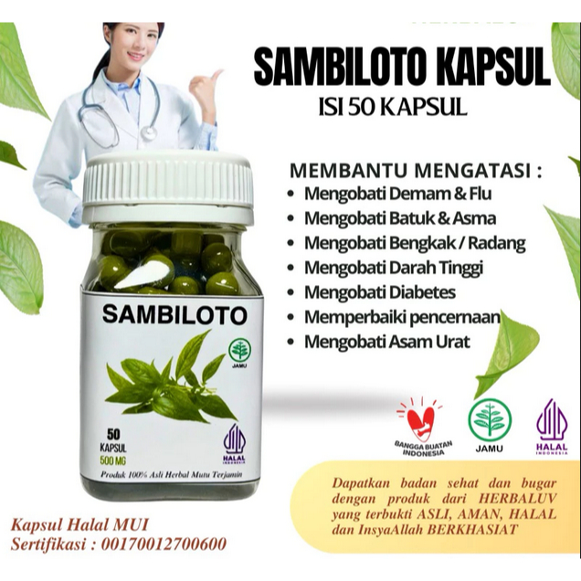 Kapsul Sambiloto Original Herbal