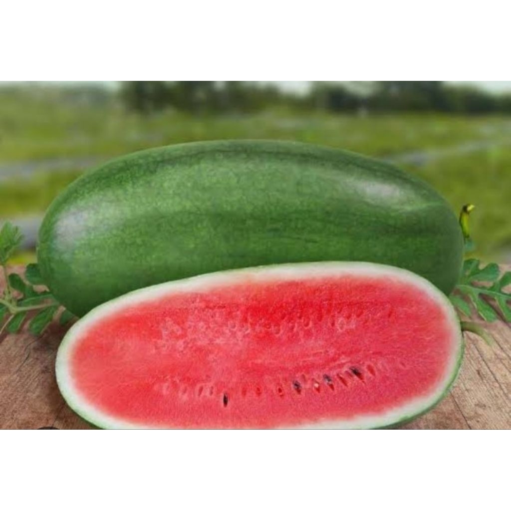 

buah semangka merah manis segar 1kg