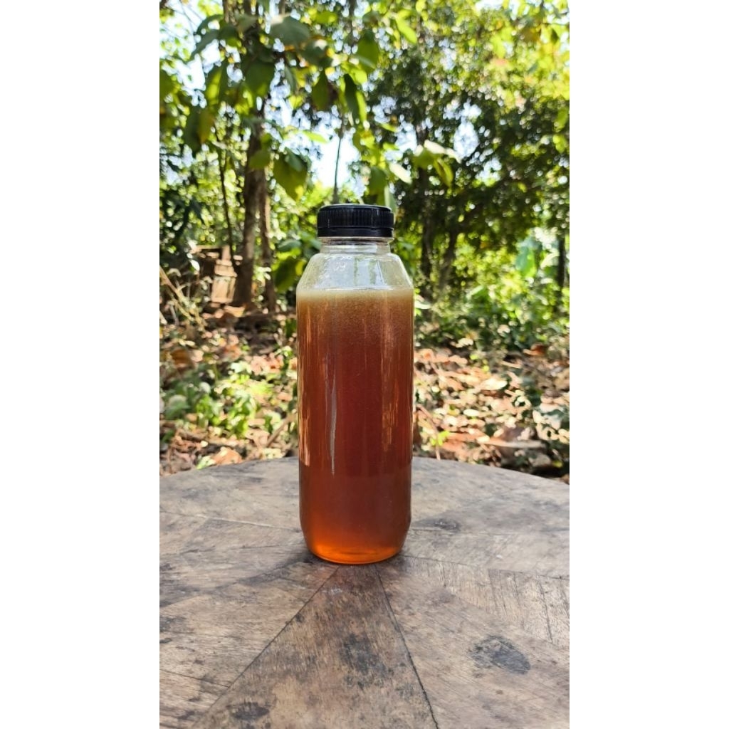 

madu asli murni 500gram, madu lebah kampung, madu apis mellifera, madu murni asli, madu Ahmadhoney, madu kampung asli, madu premium, madu alami, madu kesehatan, madu herbal, madu murni tanpa campuran, madu murni berkualitas. MADU ABADI