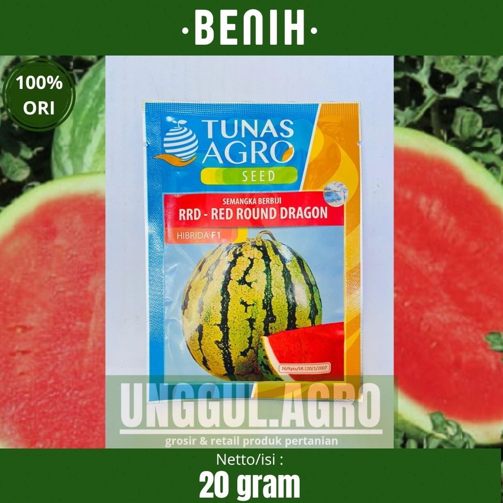 Benih semangka merah tanpa biji RED ROUND DRAGON 20gram dari tunas agro