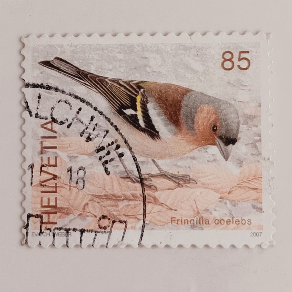 

(AA) Perangko Swiss 2007 Birds - Chaffinch (Fringilla coelebs) 85 centime Used