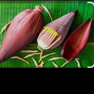 

jantung pisang kepok 2pcs