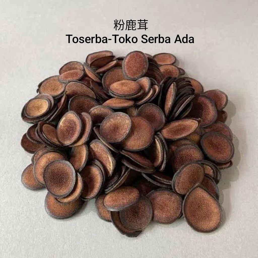 

5gr Tanduk Rusa Fen Lu Rong 粉鹿茸 Pilose Antler Powder Cornu Cervi Pantotrichum