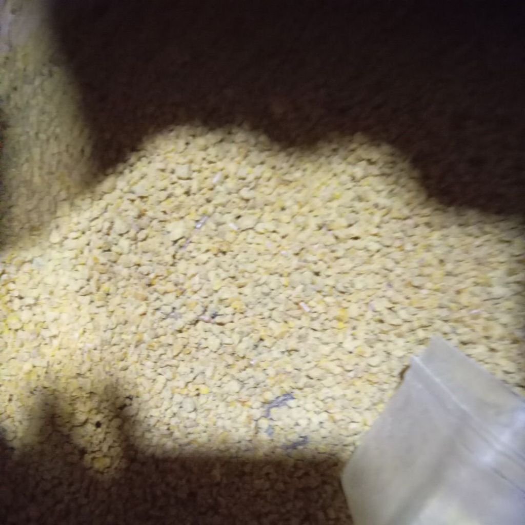 Voer ayam/pakan burung 511