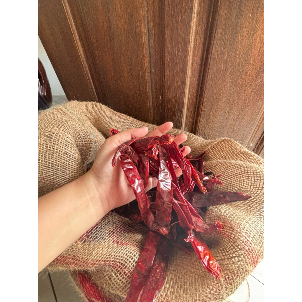 

CABE KERING BESAR TANPA TANGKAI CABE SEBLAK SUPER RED