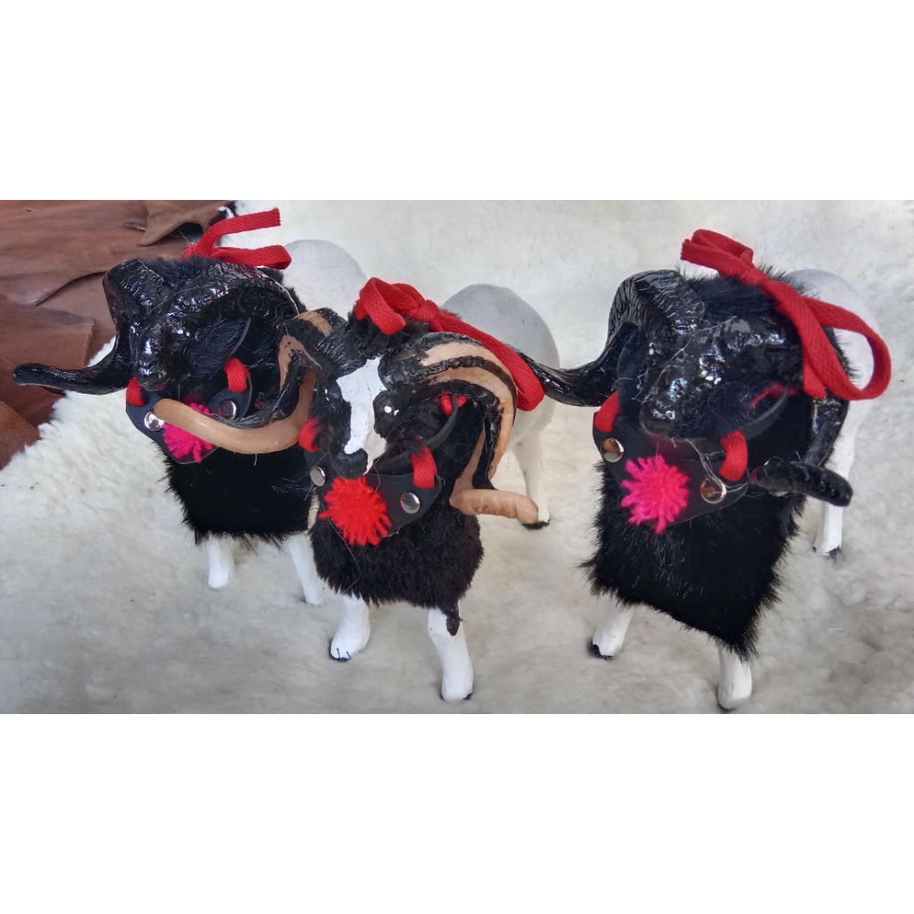 Miniatur Domba Asli Garut