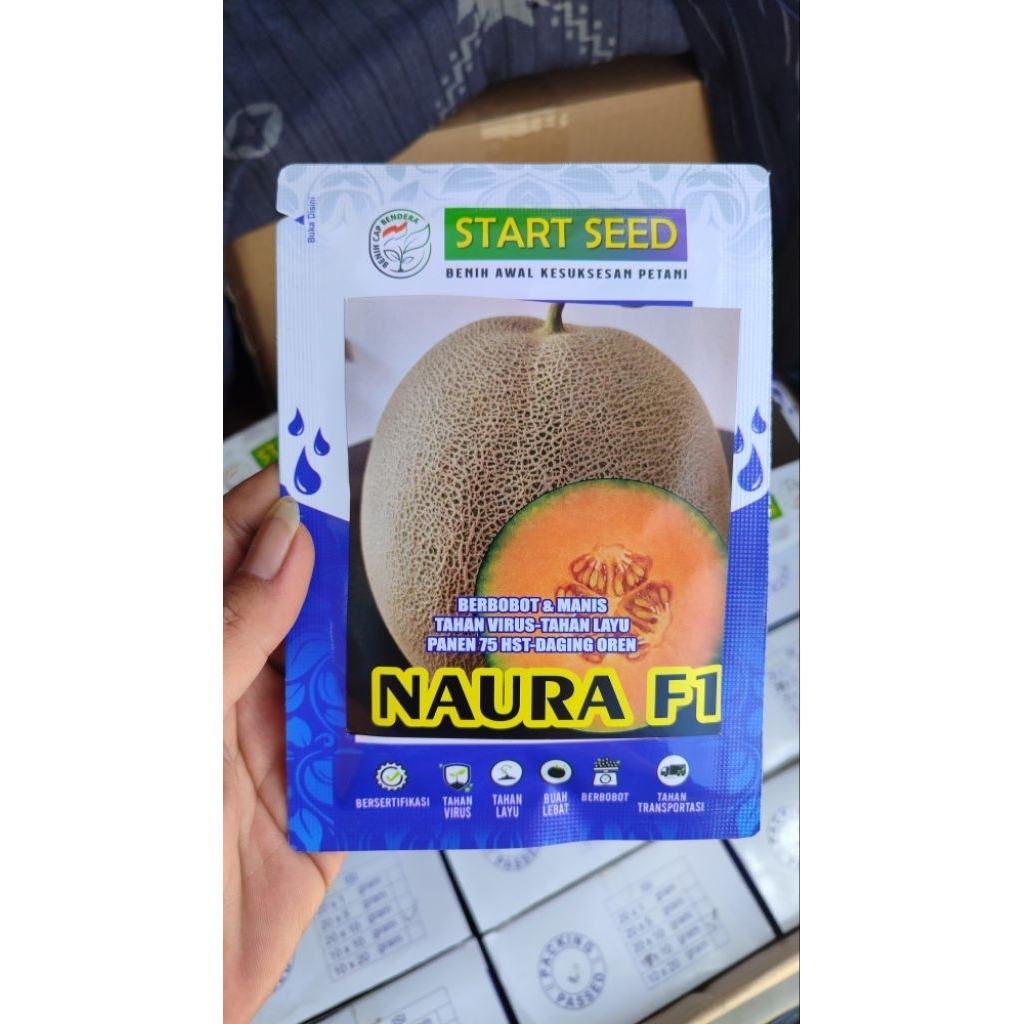

Benih Melon Putih NAURA F1