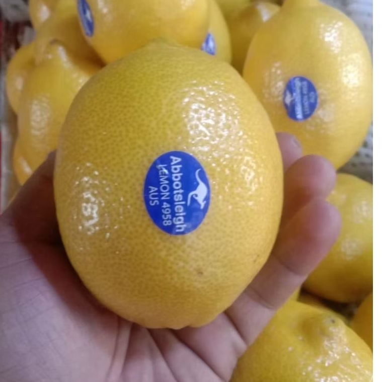 

LEMON AUSTRALIA KULIT TIPIS BANYAK AIRNYA