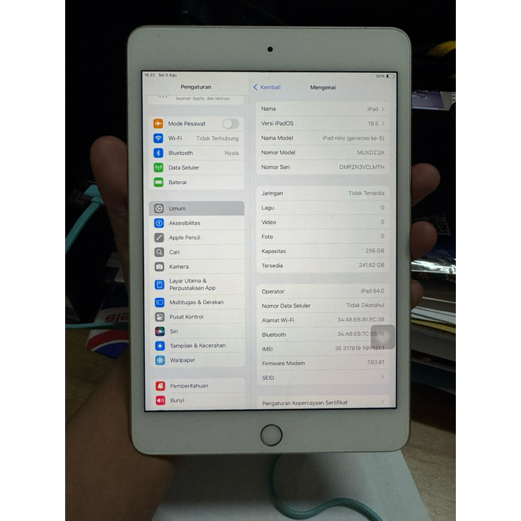 ipad min 5 256gb bypass