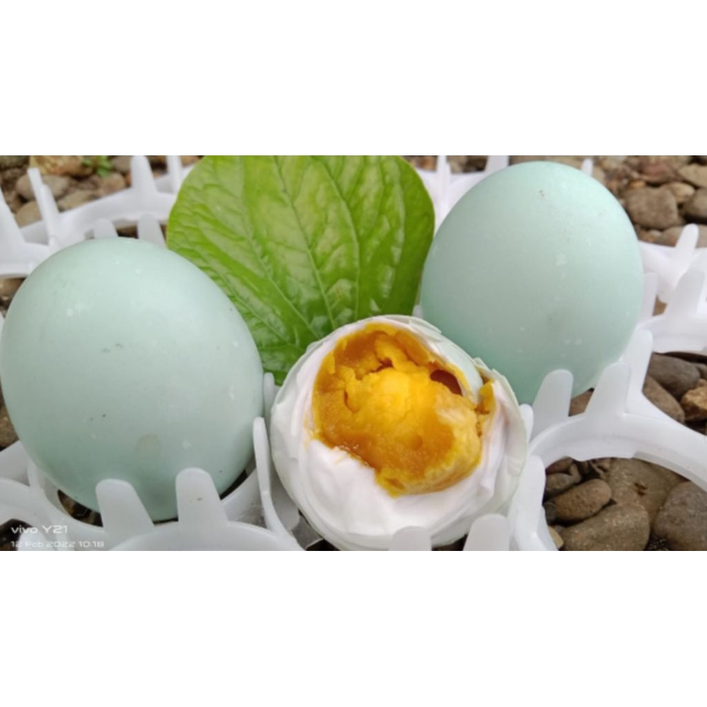 

telor asin tiga putri