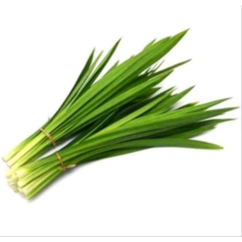 

daun pandan segar 10 lembar