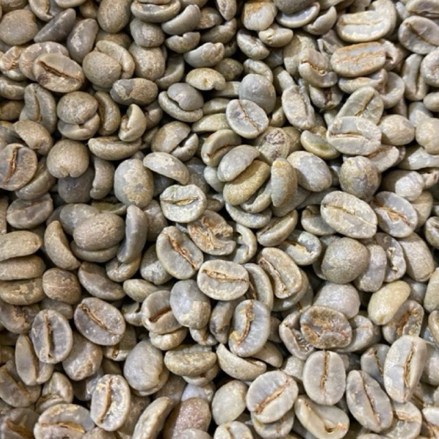 

KOPI ROBUSTA PILIHAN 1 KG ORIGINAL QUALITY GREEN BEAN/BIJI KOPI MENTAH