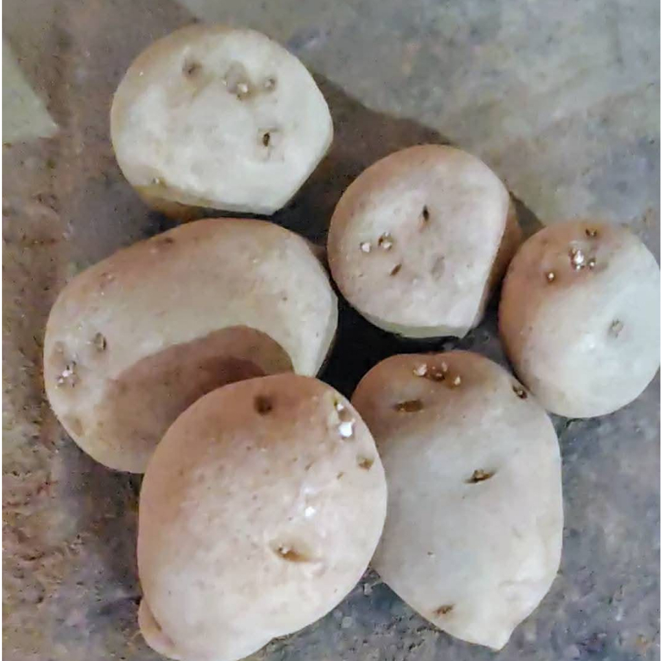 

kentang segar (500 gr dan 1000 gram)berkualitas premium