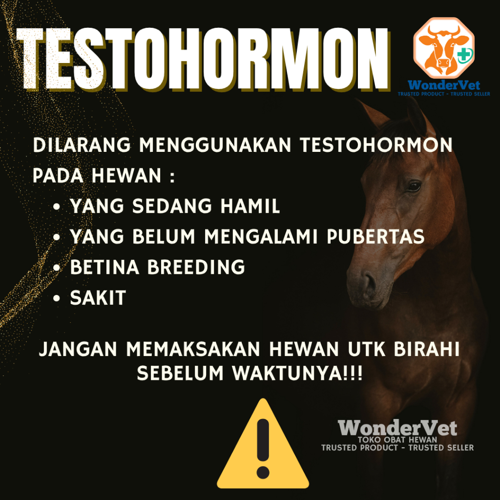Megumiyee_ Testohormon - Injeksi Hormon Hewan Jantan