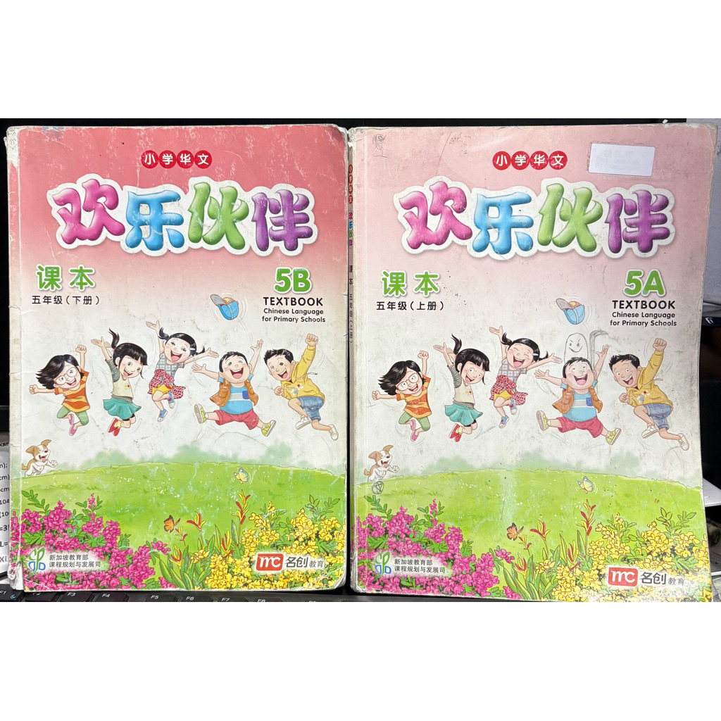 chinese language for primary school