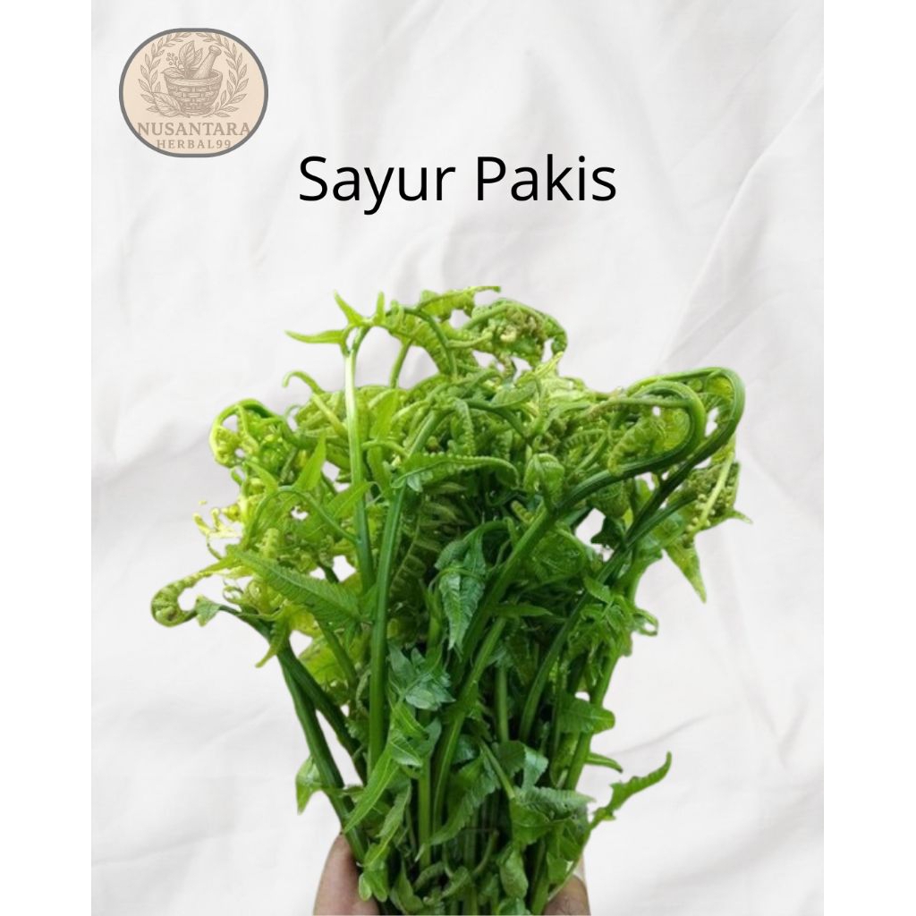 

Sayur Pakis Segar (Paketan Kecombrang)