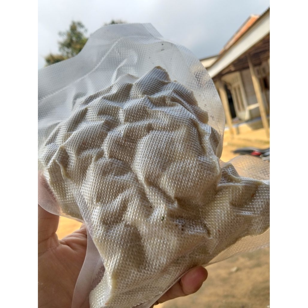 

CimoL mentah siap di goreng