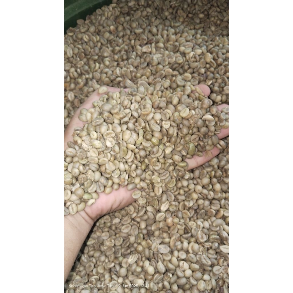 

biji kopi robusta asalan 50 kg | green bean | kualitas super | biji bersih