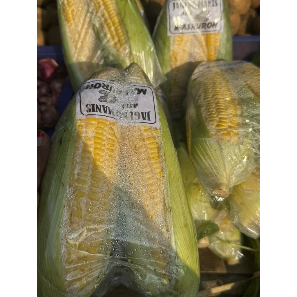 

Jagung Manis Fres