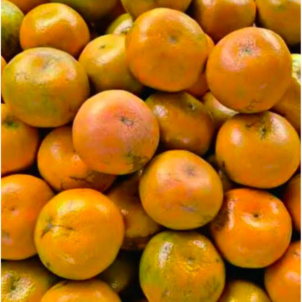 

JERUK MEDAN 1kg FRESH