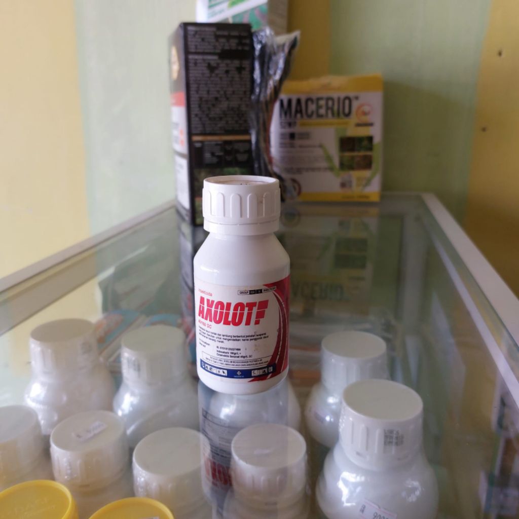 Axolot 40/160 SC /Insektisida mengendalikan hama ulat FAW, ulat BOR, ulat grayak