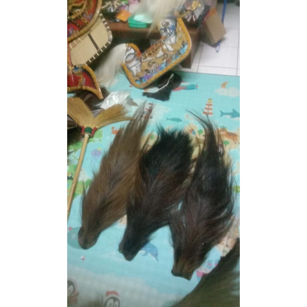 ekor kuda super per biji