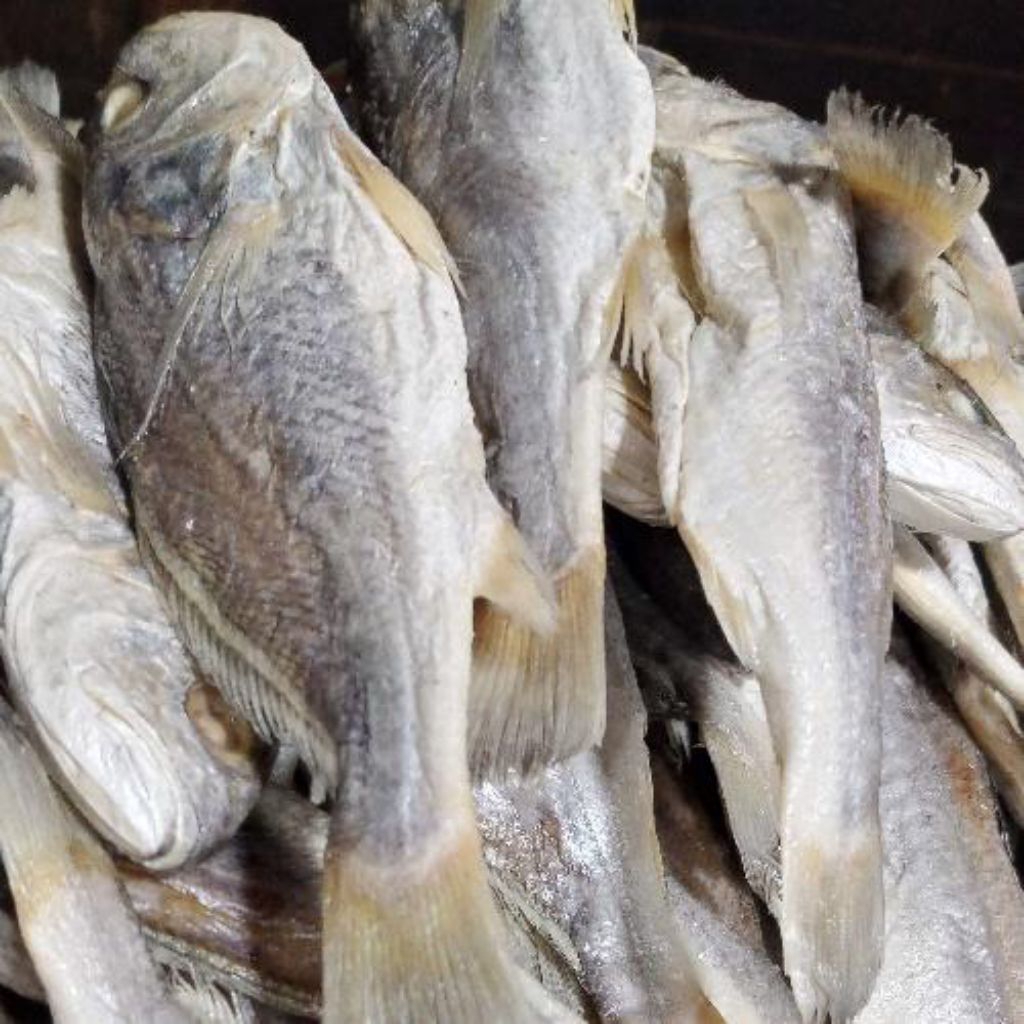 

Ikan Asin Kepala Batu (Seafood Kering)