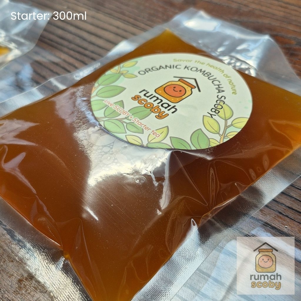 

Bibit Kombucha SCOBY Hidup (Ekstra Starter) 300ml