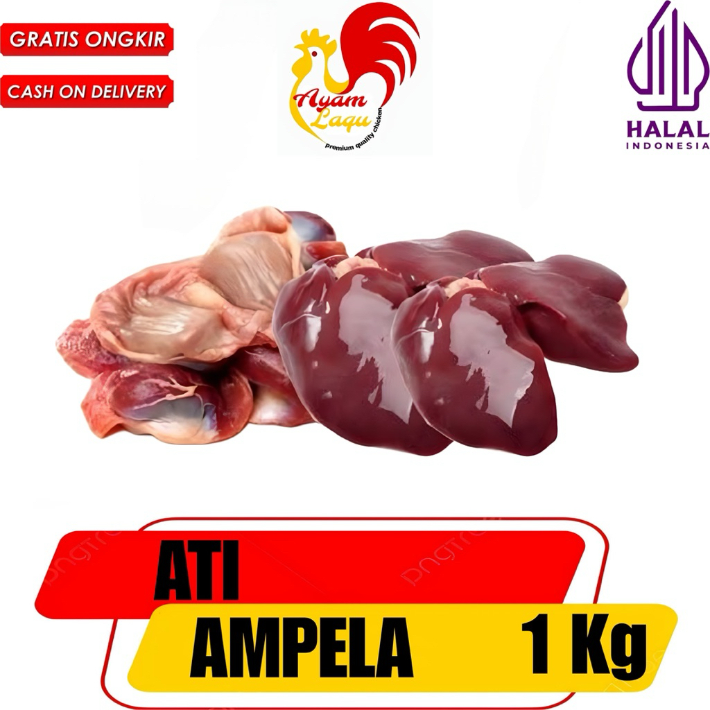 

ATI AMPELA AYAM BESAR BERSIH FRESH SEGAR TERMURAH SUPPLIER AYAM