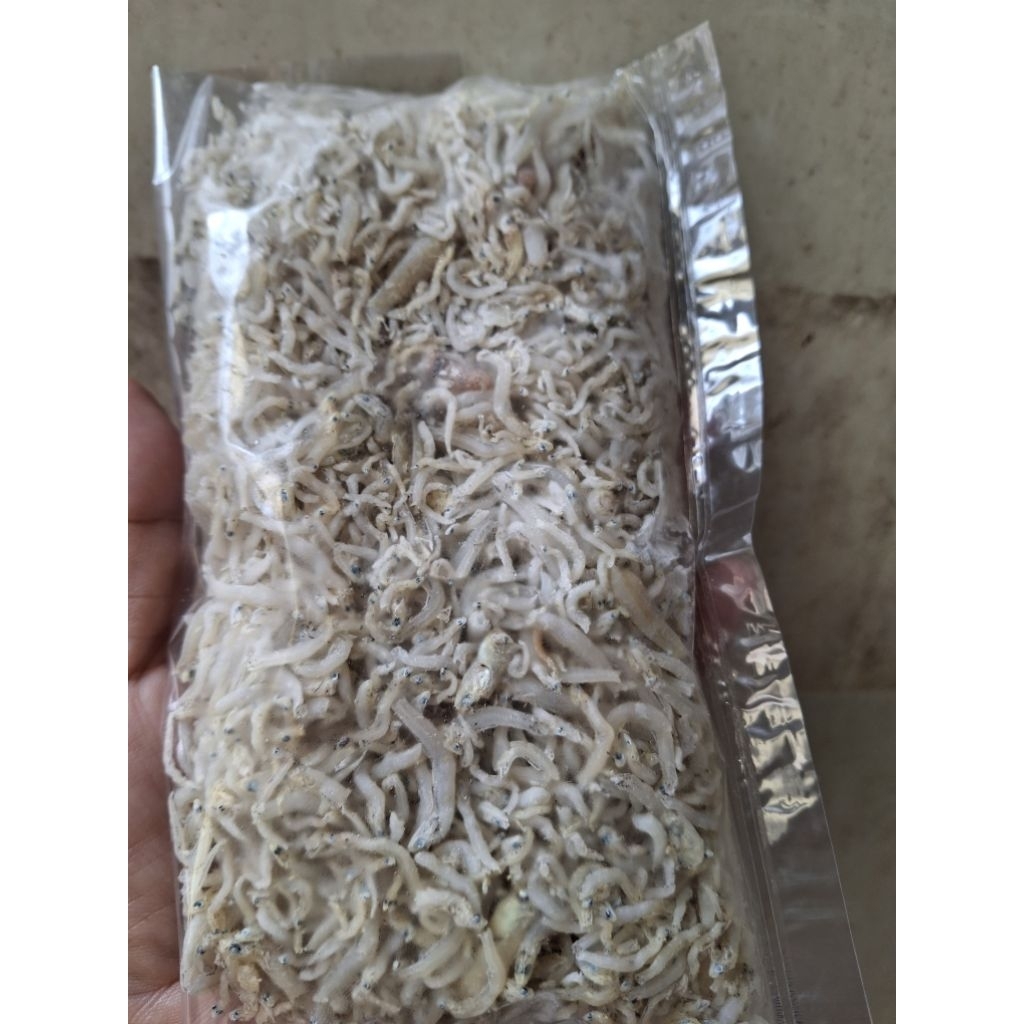 

Ikan Teri nasi Asli Medan 100gr