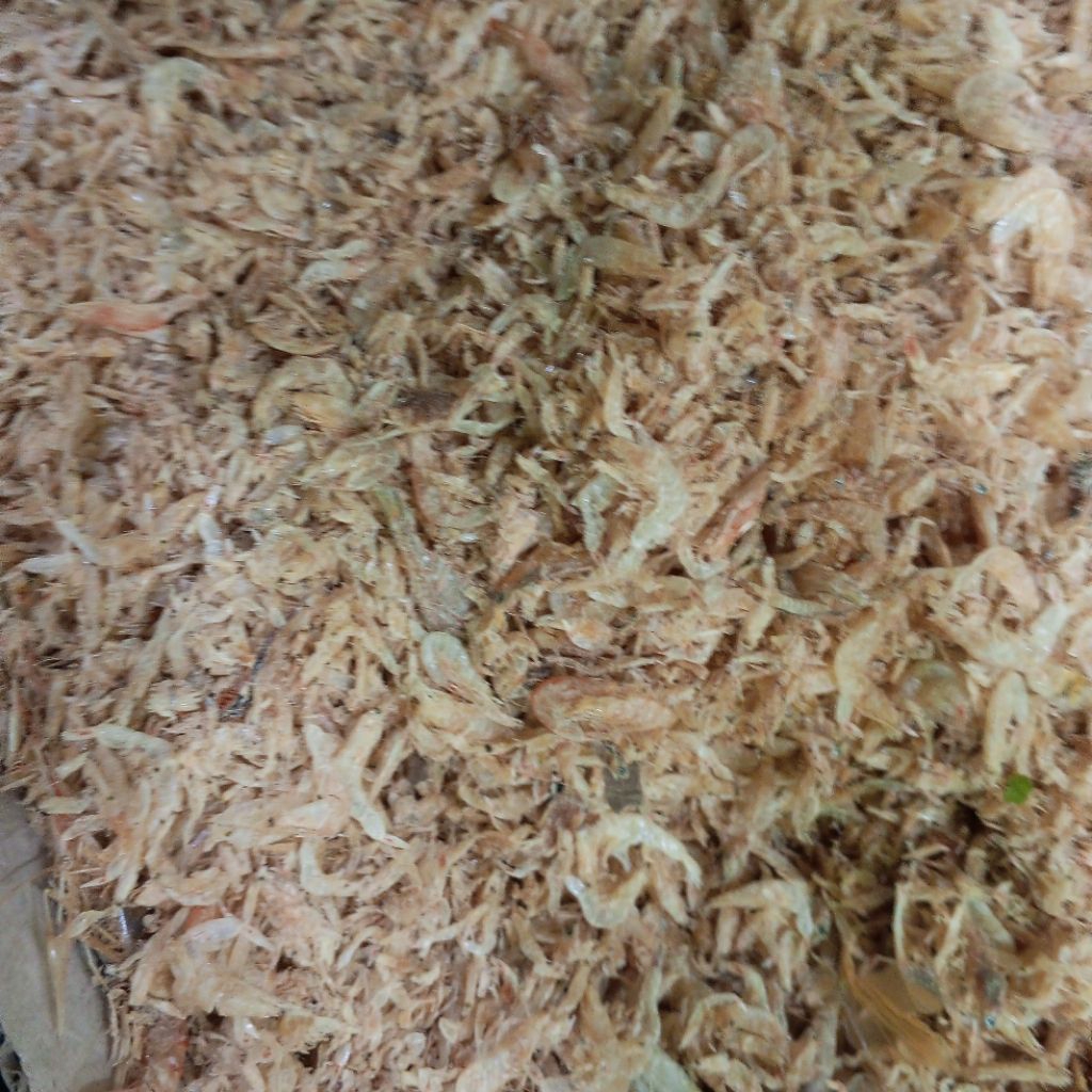 

udang kering /udang rebon