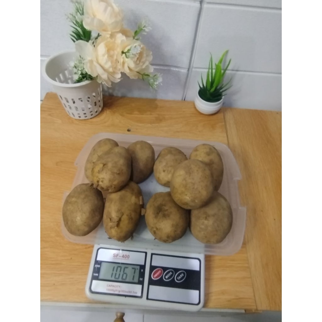 

Kentang Dieng ukuran sedang 1kg