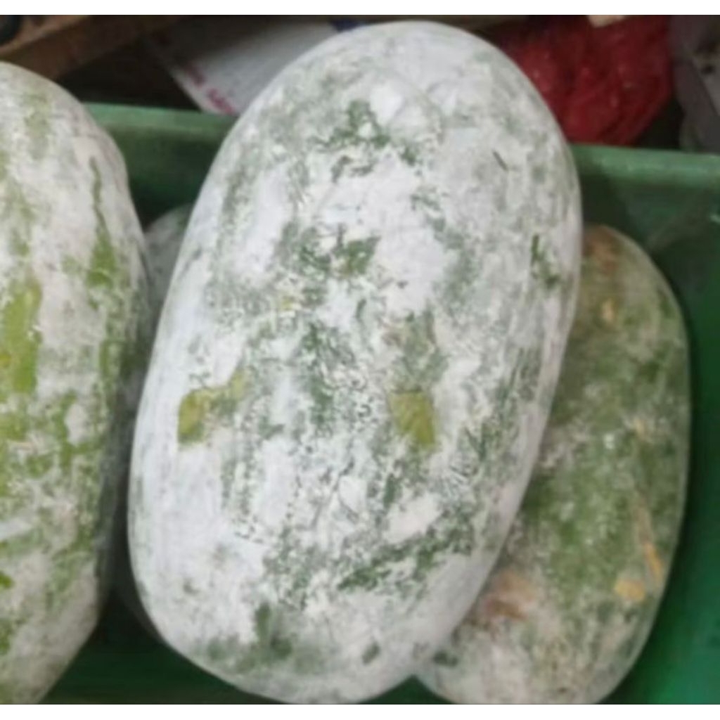 

￼Bligo / Buah Kundur / Blonceng berat 3 - 3,5 kg