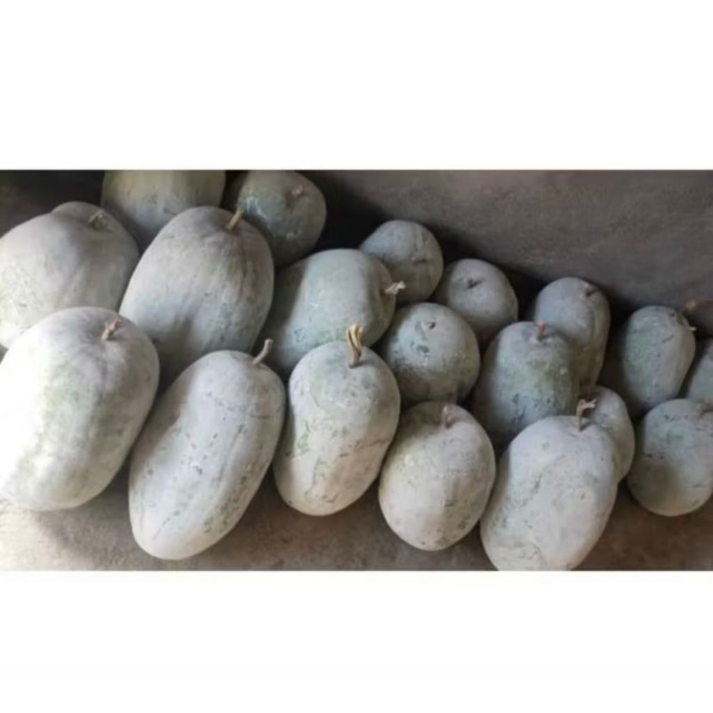 

￼PASAR SEGAR - LABU KUNDUR / BUAH BLIGO UTUH 1 BUAH 3kg - 3,8kg