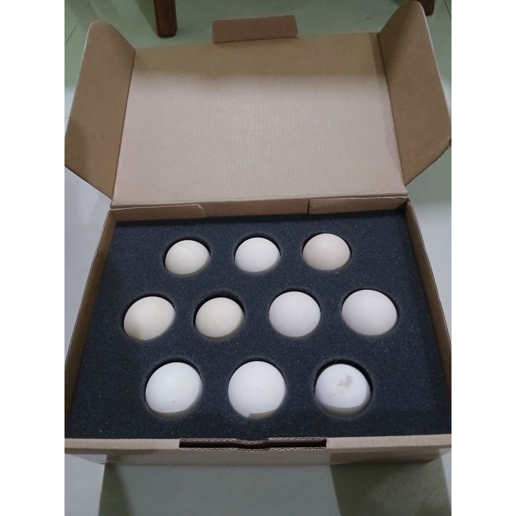 

Telur tetas/fertil elba + kotak pengaman isi 10