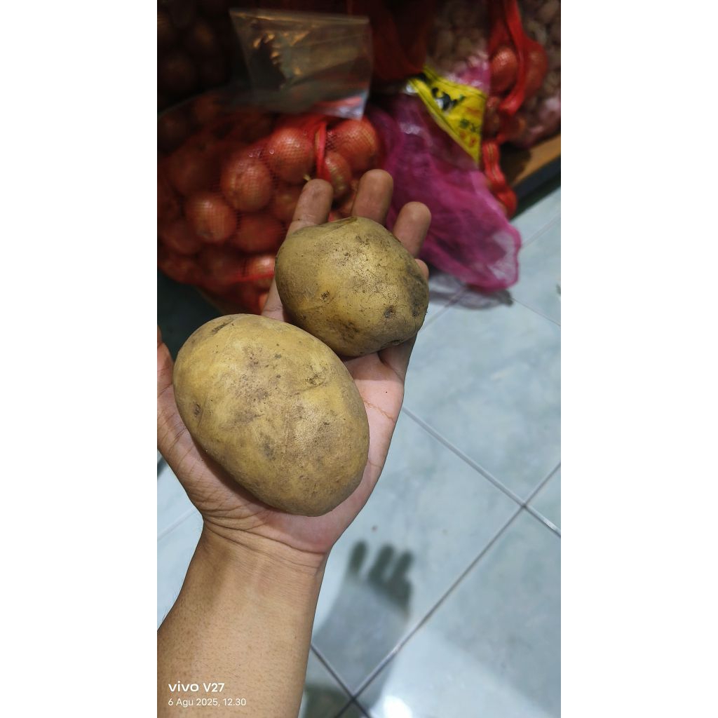 

Kentang bromo fresh kemasan 1kg/berkualitas murah