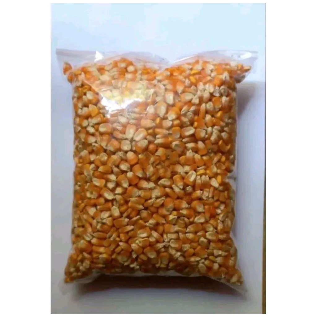 

Benih bibit jagung lokal 1 kg