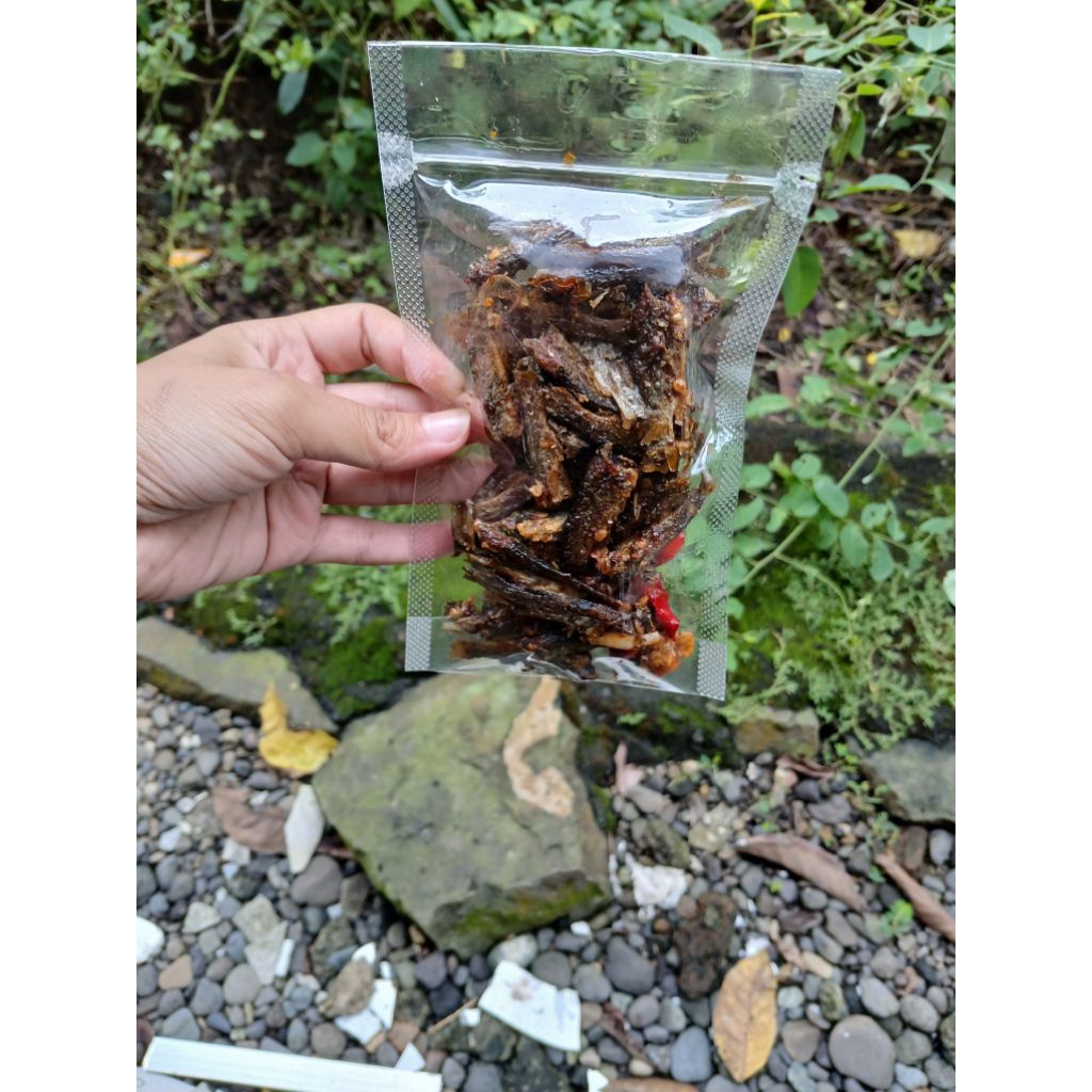 

sambal goreng ikan kating